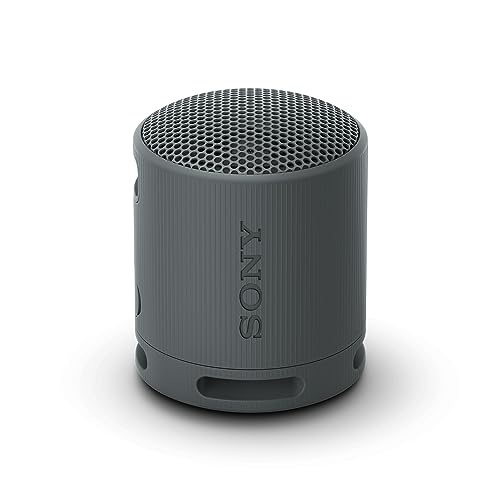 Sony SRS-XB100 Bluetooth-luidspreker